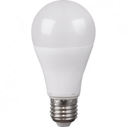 Ampoule Led A60 E27
