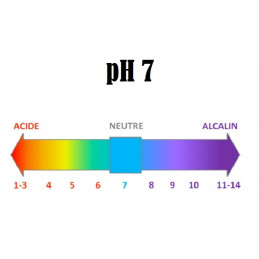 Hydrofuge Protectguard Fort Trafic FT Pro GUARD INDUSTRIE 5L