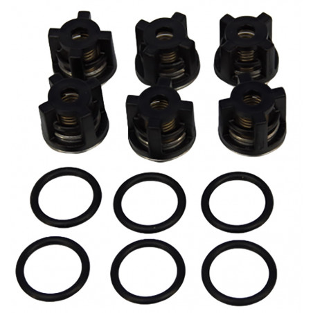 Kit clapets P 15-42909 RR pour Nettoyeur HP ICA