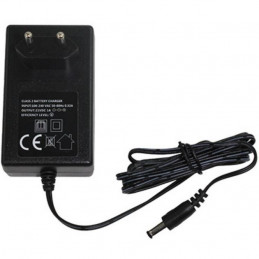 Chargeur de batterie pour Gladiator II