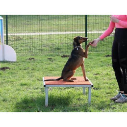 Table d’obéissance