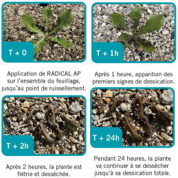 Herbicide Natur'Net 5L