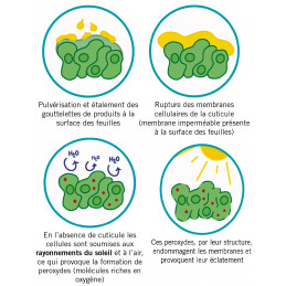 Herbicide Natur'Net 5L