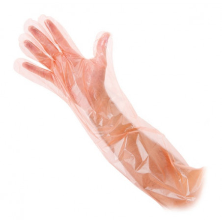 Gant Translucide Long 55x30 cm LDPE Lot de 50